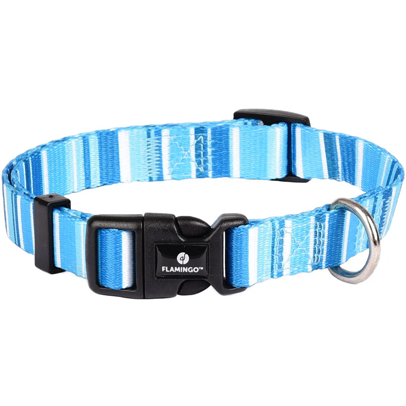 Dog Sale Products