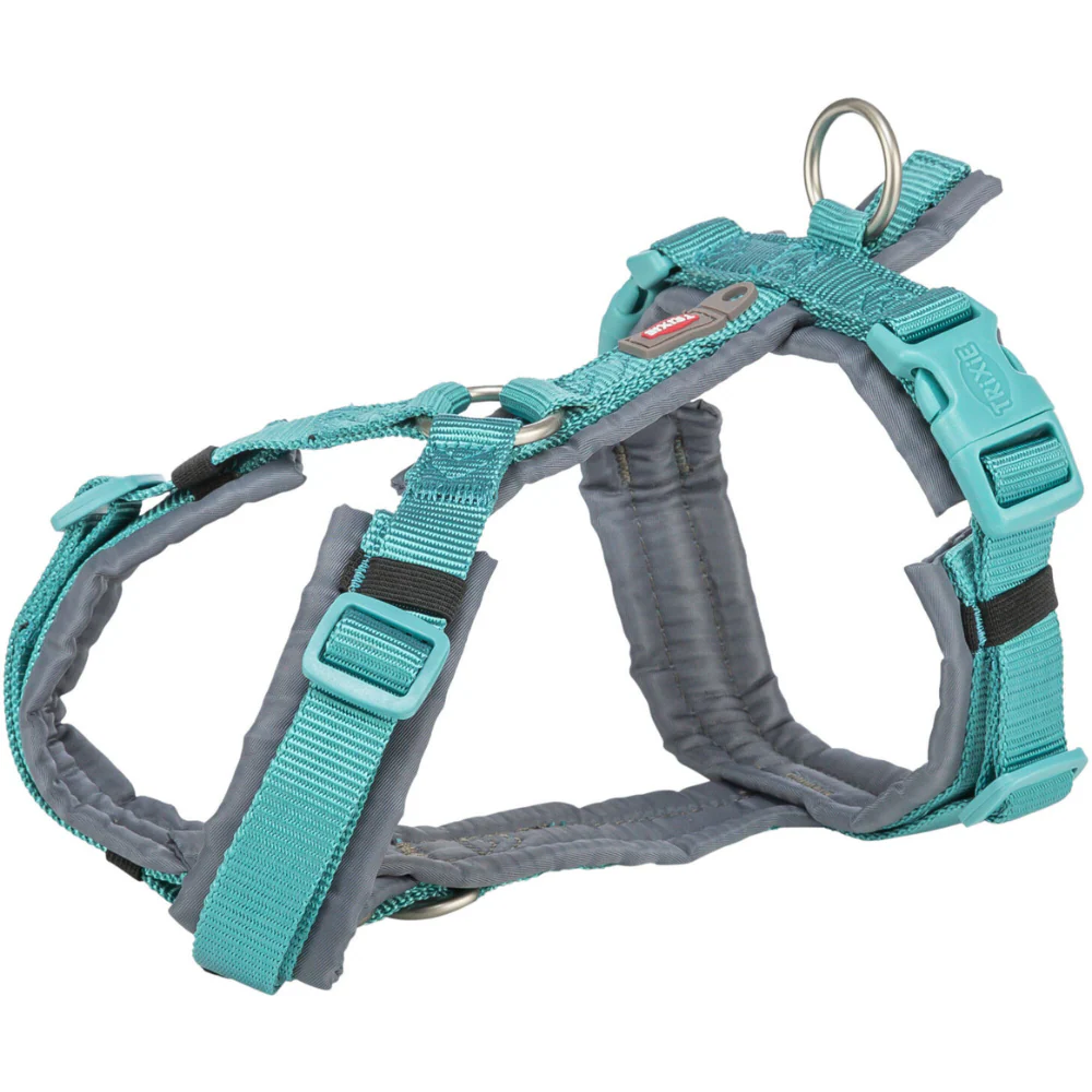 Dog Lead, Collar & Acc. Sale